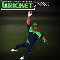 Cricket Fielder Challenge Game - Unblocked WTF